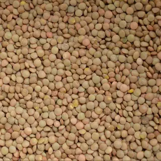 Lenticchie eston piccole in busta - 335g