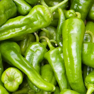 Peperoni in acqua e sale - 100g