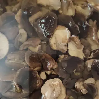 Funghi cardoncelli - 100g
