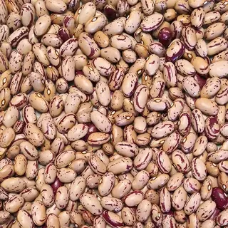 Fagioli borlotti in busta - 335g