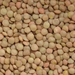 Lenticchie eston grandi in busta - 335g