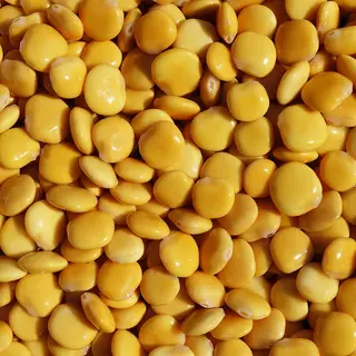 Lupini - 100g
