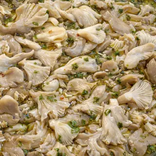 Funghi pleurotus
