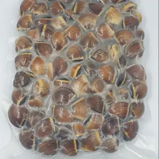 Vongole con guscio 1 kg