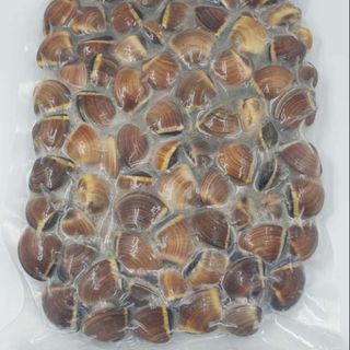 Vongole con guscio 1 kg