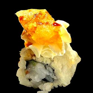 K4 scampi roll
