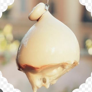 Caciocavallo