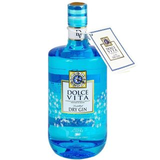 Dolce vita dry gin 100cl