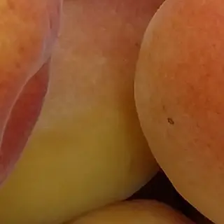 Albicocche