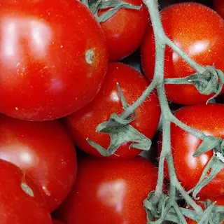 Pomodoro