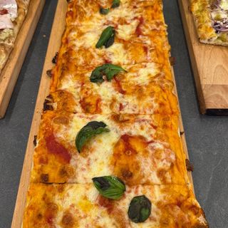 Champignon tonda
