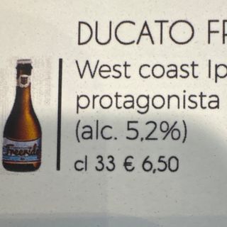 Ducato free ride