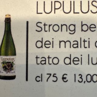 Lupulus tripel