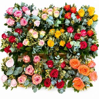 Bouquet del giorno con rose di unico colore
