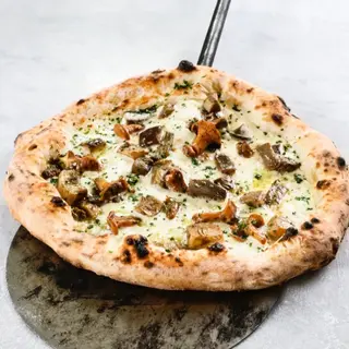 Funghi