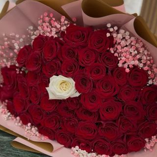 Fascio di 51 Rose Rosse
