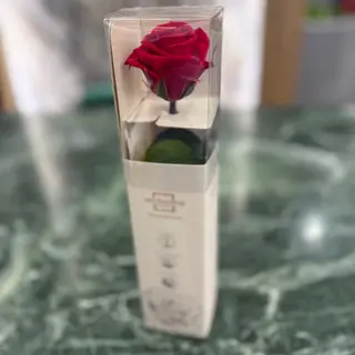 Rosa stabilizzata a stelo 30 cm