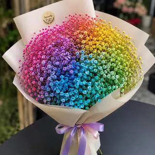 Bouquet Gypsophila Rainbow
