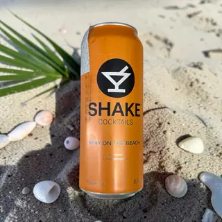 Shake s*x on the beach