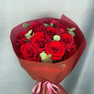 Élite Bloom