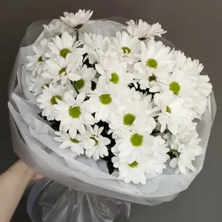 Melodia dei fiori