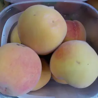 percoca