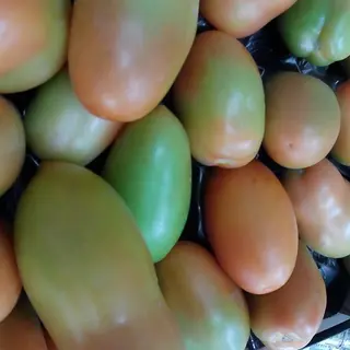 pomodori