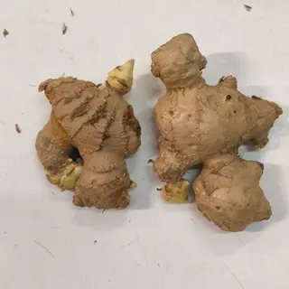 Ginger fresca 300g