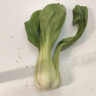 Pak choi 500g 香菇菜