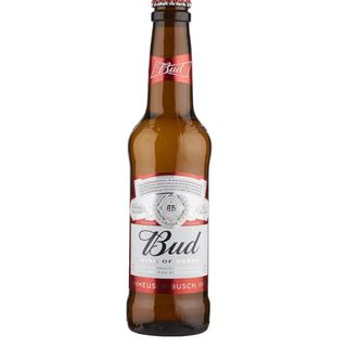 Bud lager 33cl cold