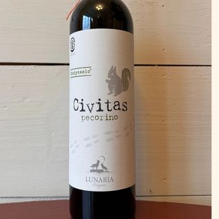 CivitasPecorino Terre di Chieti 2020 375ml