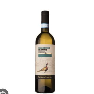 Solopaca winery Falanghina Sannio D.O.P. wine white 75 cl