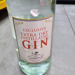 La sorgente gin2 L