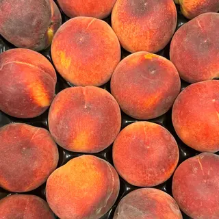 Pesca gialla