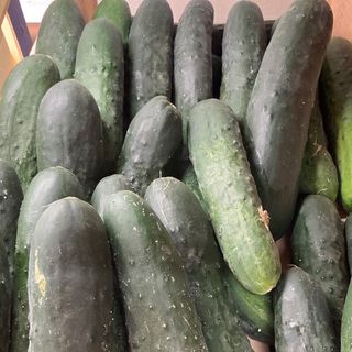 Cetrioli