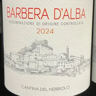 Barbera d’Alba