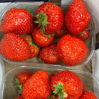 Fragole Vaschetta Trentino