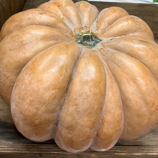 Zucca arancio