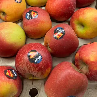 Mela Giga estiva