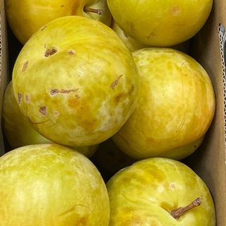 Prugne gialle