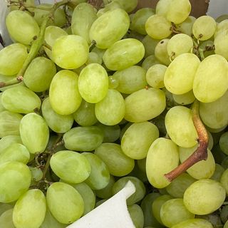 Uva bianca da tavola con semi