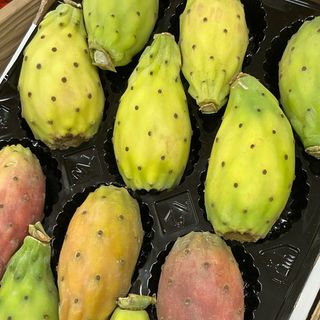 Fichi d india