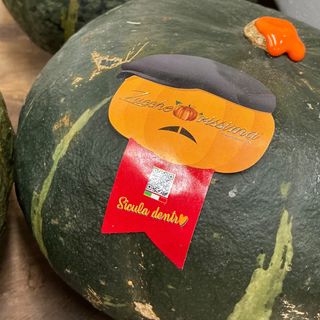 Zucca delica Zuccherissima