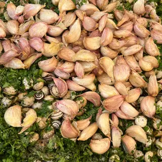 Lumache cotte