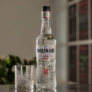 molinari