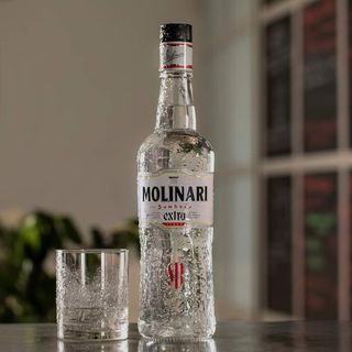 molinari