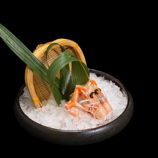 805.SASHIMI DI SCAMPI