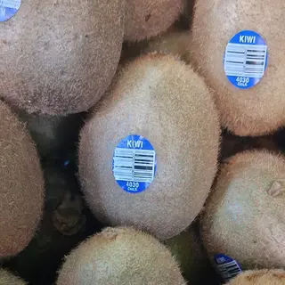 Kiwi verdi