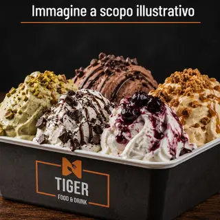 Vaschetta Gelato