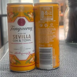 GIN TONIC TANQUERAY